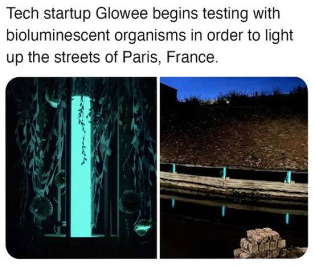 funny memes and cool pics - Tech startup Glowee begins testing with bioluminescent organisms in order to light up the streets of Paris, France.