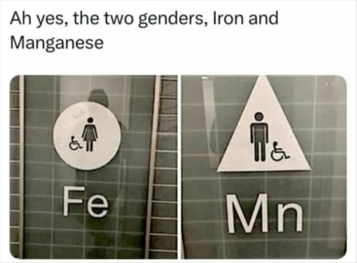 funny memes and cool pics - chemistry memes - Ah yes, the two genders, Iron and Manganese &T Fe Mn