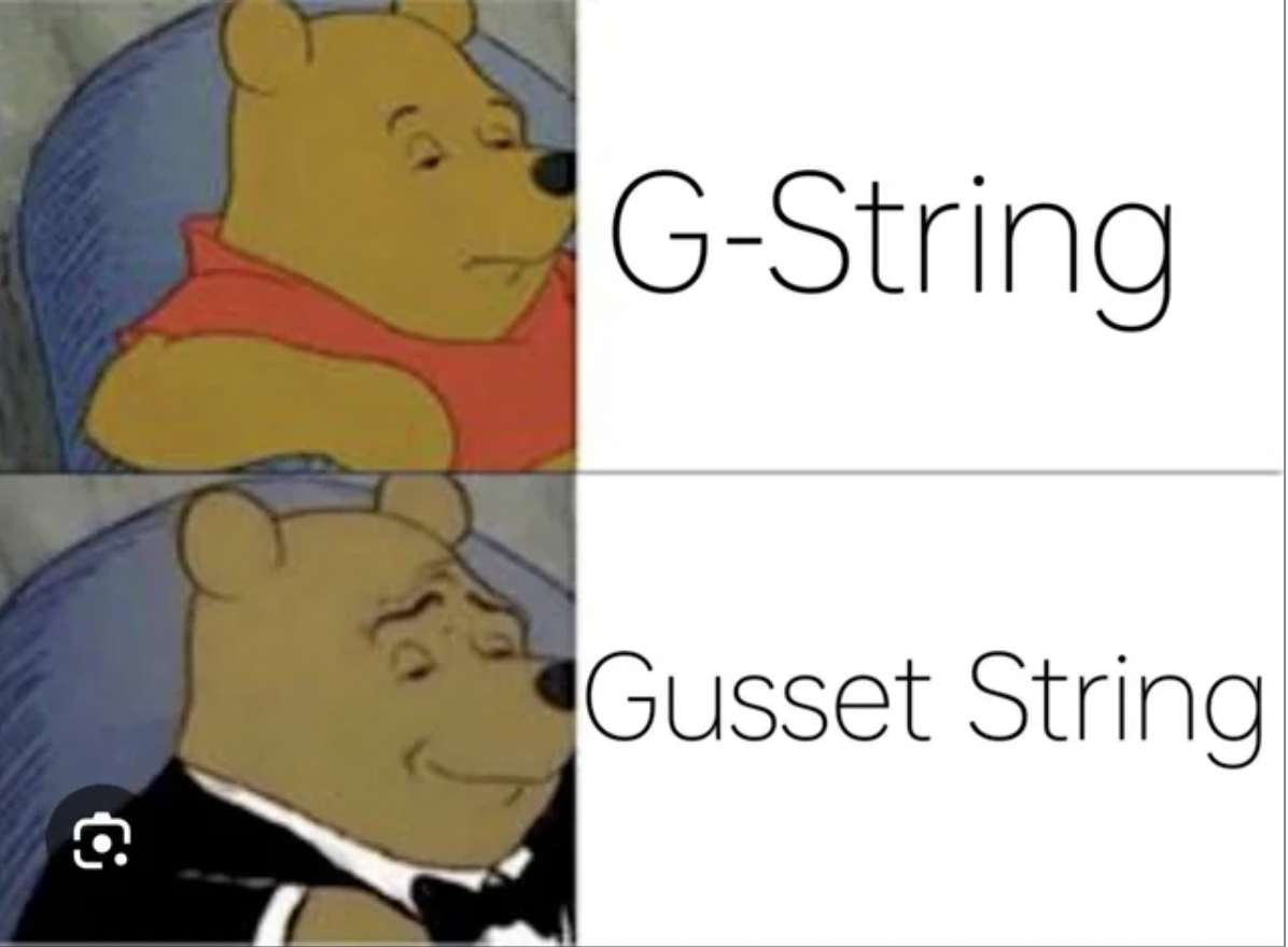 winnie the pooh memes clean - GString Gusset String