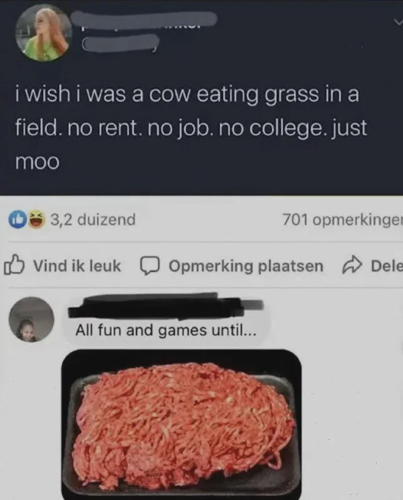 ground chuck vs ground beef - i wish i was a cow eating grass in a field. no rent. no job. no college. just moo 3,2 duizend 701 opmerkingen Vind ik leuk Opmerking plaatsen Dele All fun and games until...