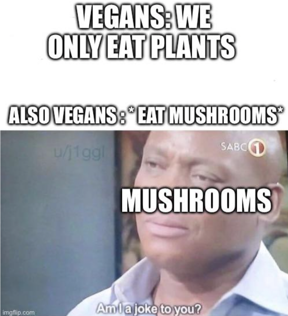 photo caption - Vegans We Only Eat Plants Also Vegans Eat Mushrooms imgflip.com uj1ggl Sabc Mushrooms Amla joke to you?