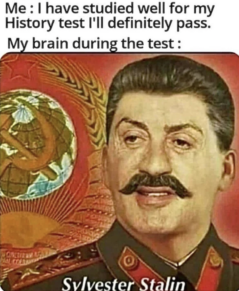 stallone stalin - Me I have studied well for my History test I'll definitely pass. My brain during the test Sylvester Stalin