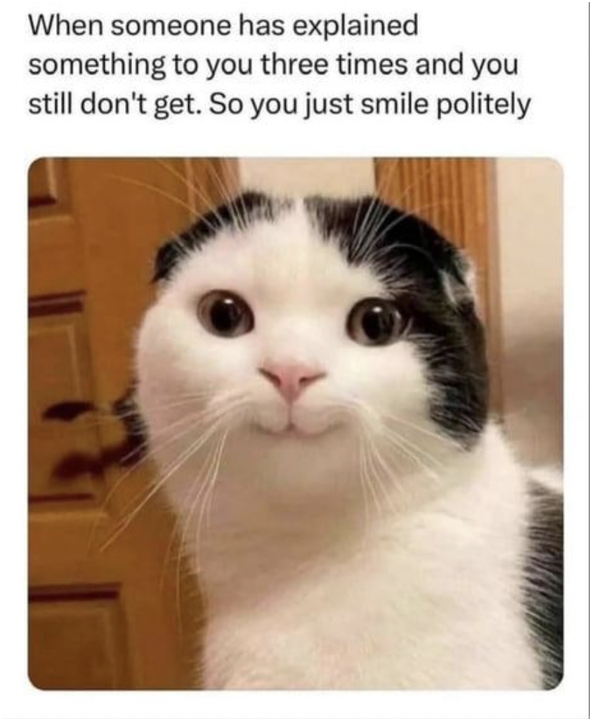 cat smile meme - When someone has explained something to you three times and you still don't get. So you just smile politely