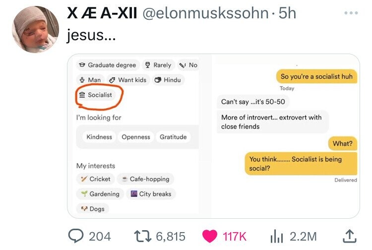 screenshot - X AXii muskssohn. 5h jesus... Graduate degree Rarely No Man Want kids Socialist Hindu So you're a socialist huh Today Can't say...it's 5050 I'm looking for Kindness Openness Gratitude More of introvert... extrovert with close friends What? My