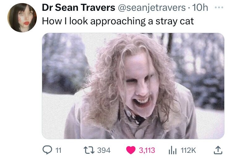 photo caption - Dr Sean Travers 10h How I look approaching a stray cat 11 394 3,113 Il