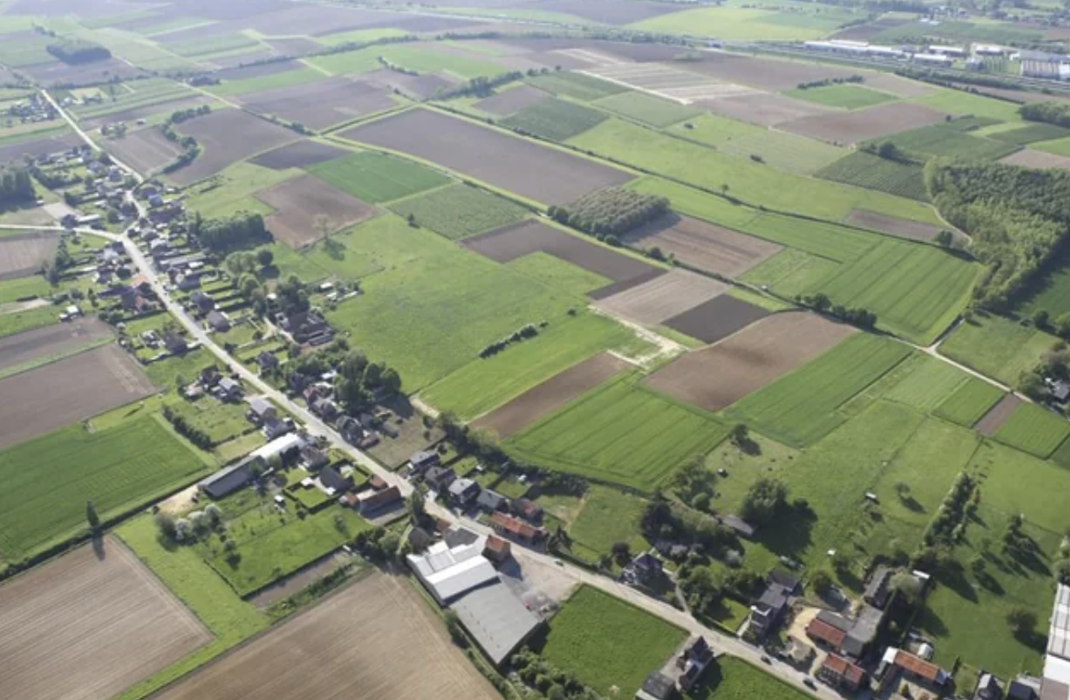 A picture of Belgian ribbon development.