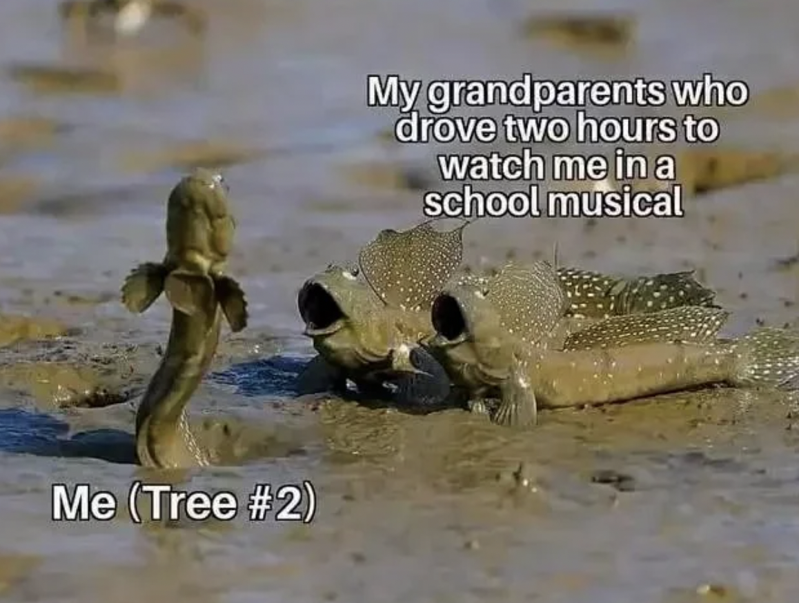 mudskipper jokes - Me Tree My grandparents who drove two hours to watch me in a school musical