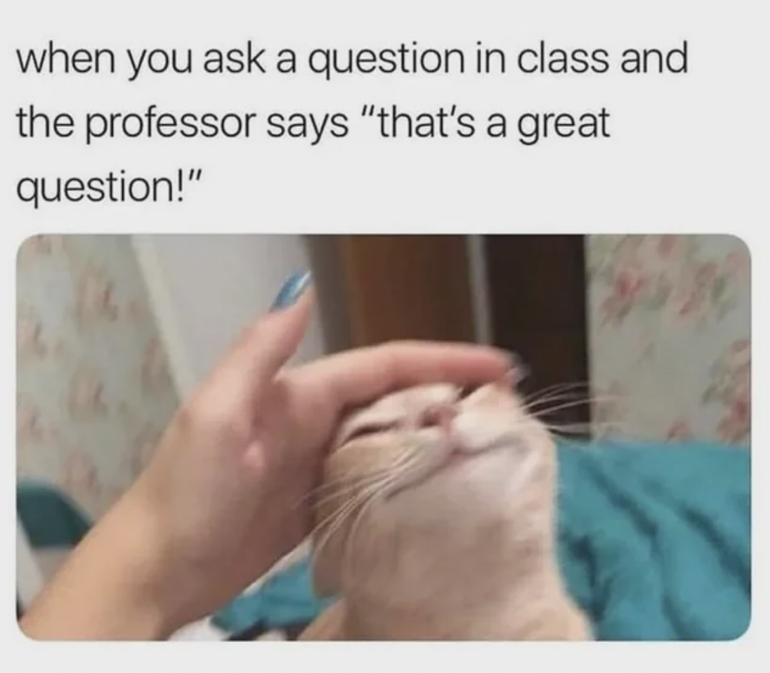 good boy cat meme - when you ask a question in class and the professor says "that's a great question!"