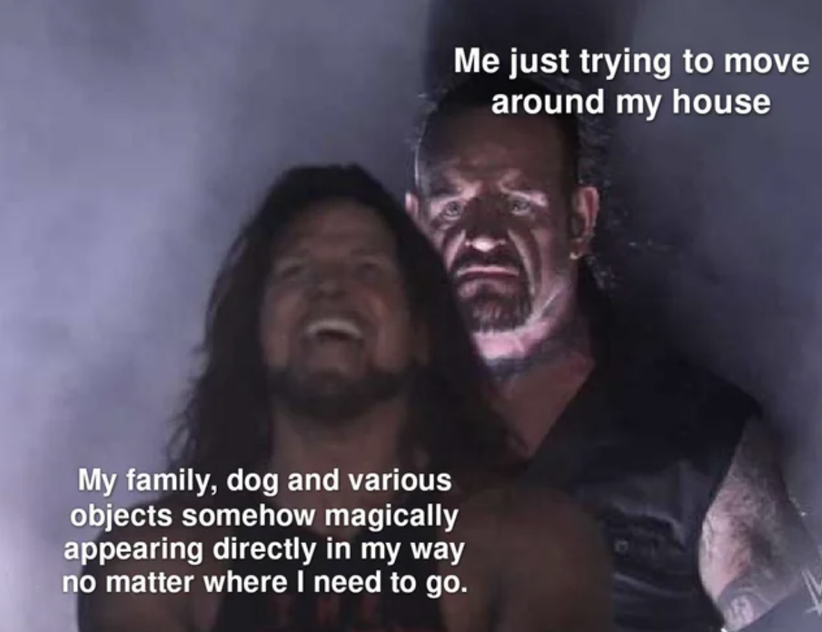 Internet meme - Me just trying to move around my house My family, dog and various objects somehow magically appearing directly in my way no matter where I need to go.