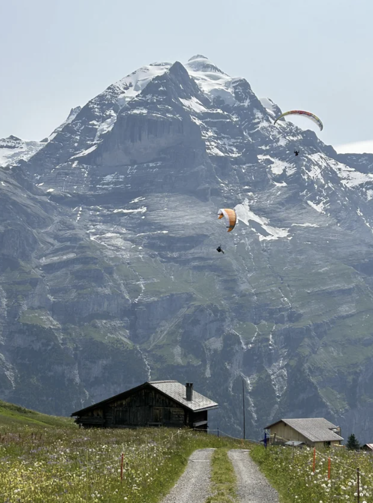 “Saw while returning from a hike outside of Murren, Switzerland.”