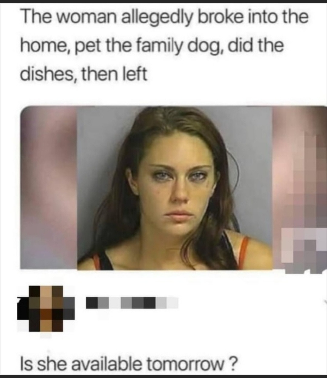 Internet meme - The woman allegedly broke into the home, pet the family dog, did the dishes, then left Is she available tomorrow?