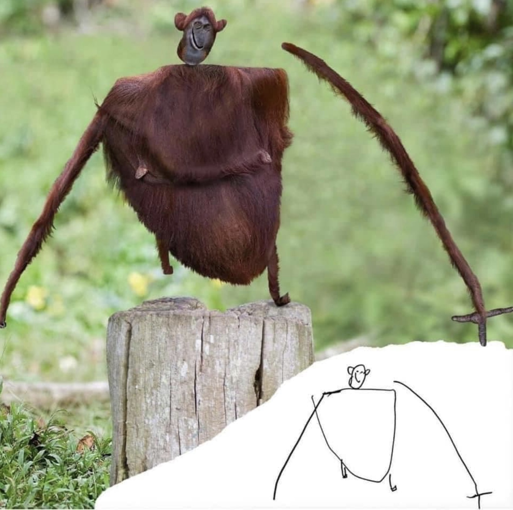 if kids drawings were real monkey - B