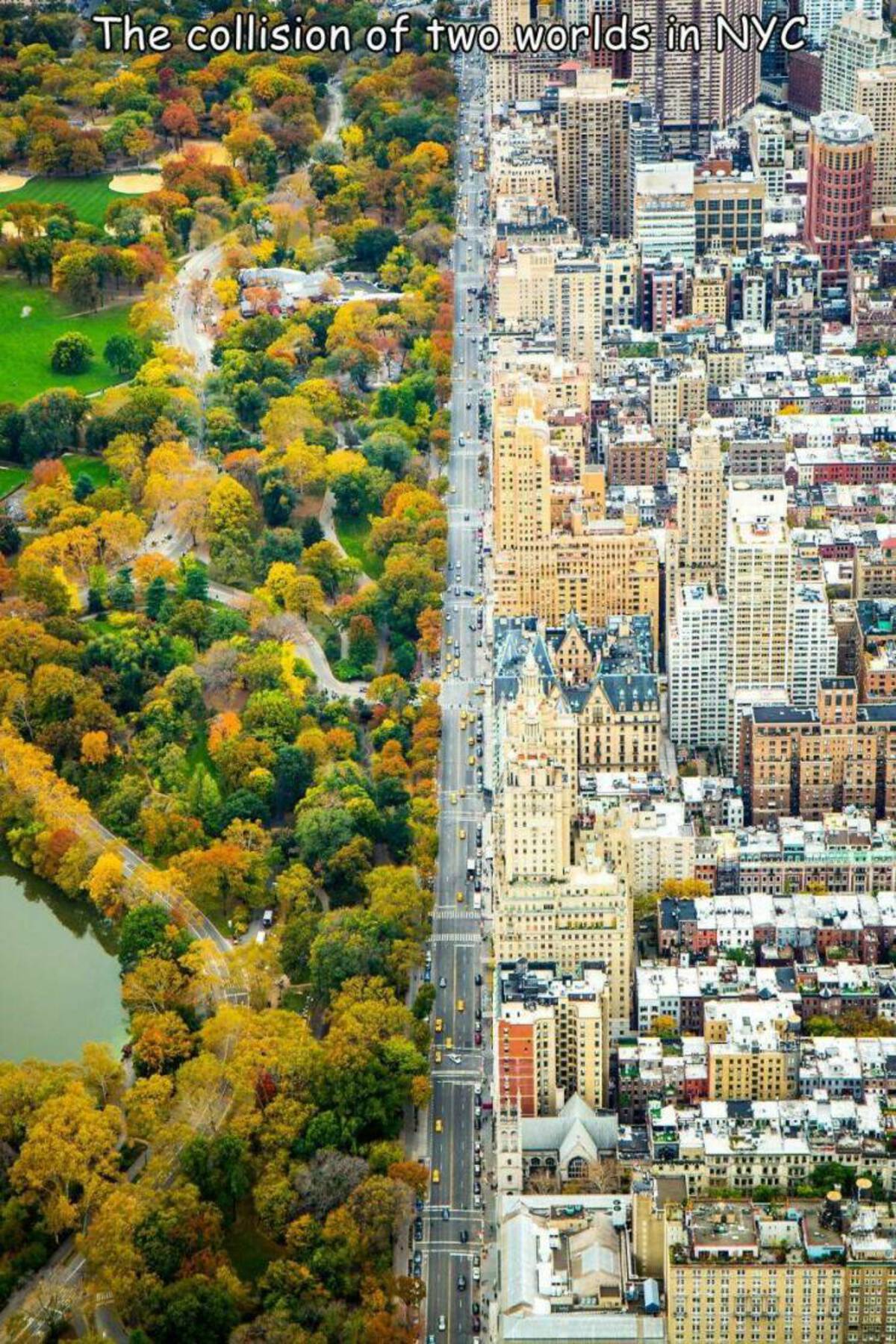 cool pics and fascinating photos - central park portrait - The collision of two worlds in Nyc