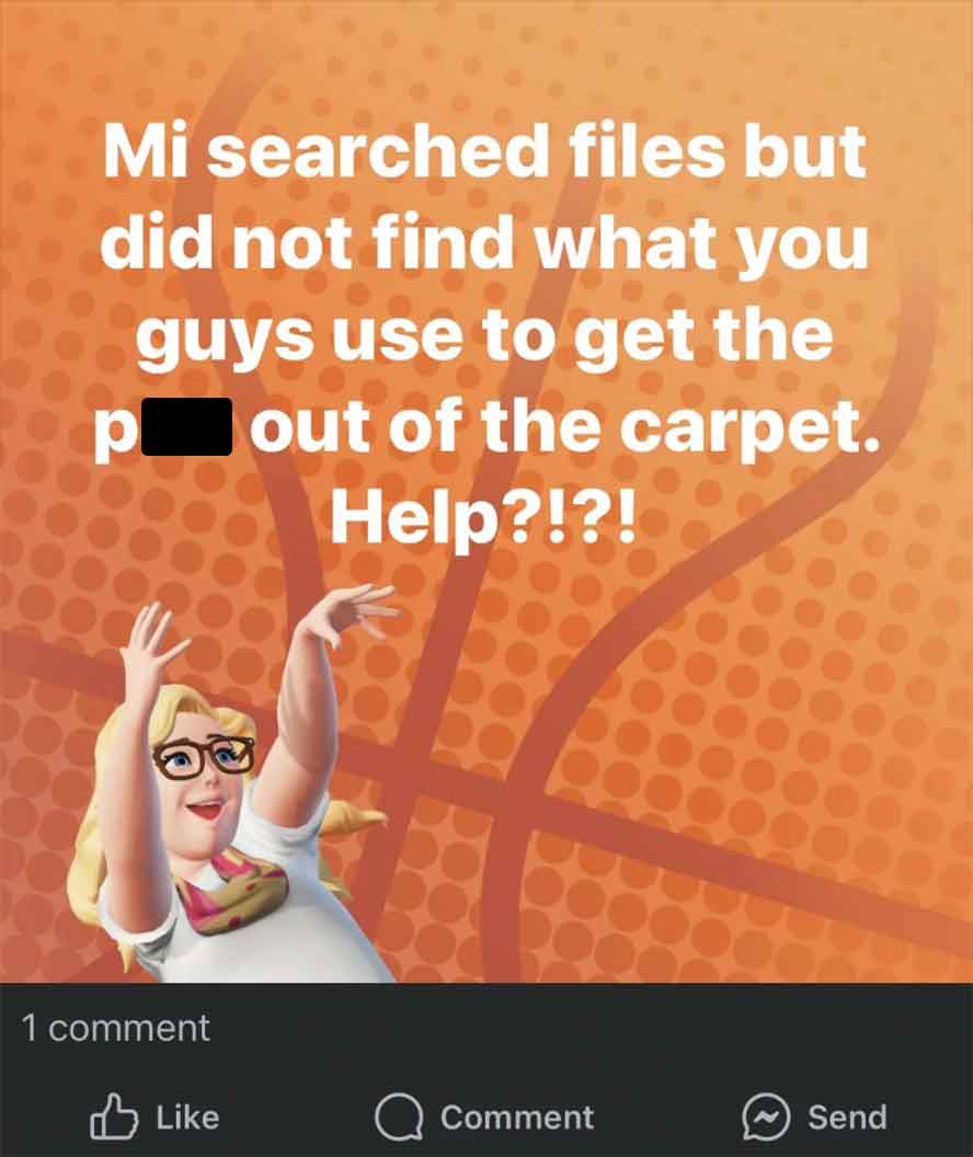 poster - Mi searched files but did not find what you guys use to get the pout of the carpet. Help?!?! 1 comment Comment Send