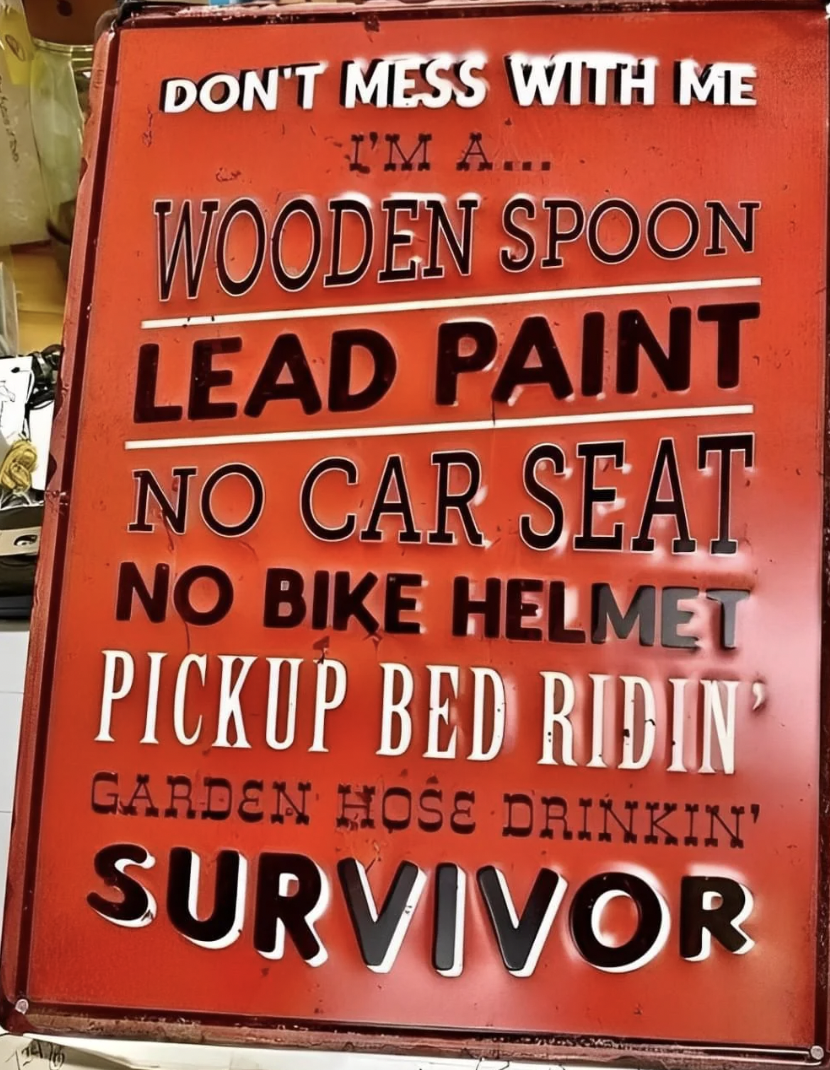 poster - 112 Don'T Mess With Me I'M A... Wooden Spoon Lead Paint No Car Seat No Bike Helmet Pickup Bed Ridin Garden Hose Drinkin' Survivor