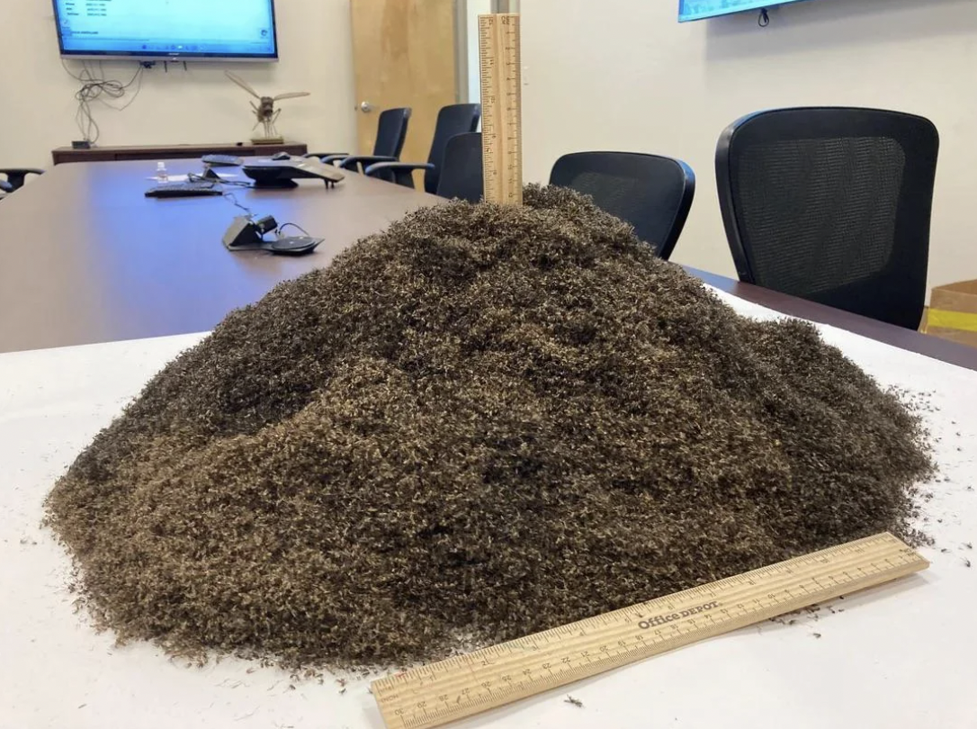 pile of 1 million mosquitoes - Office Devo