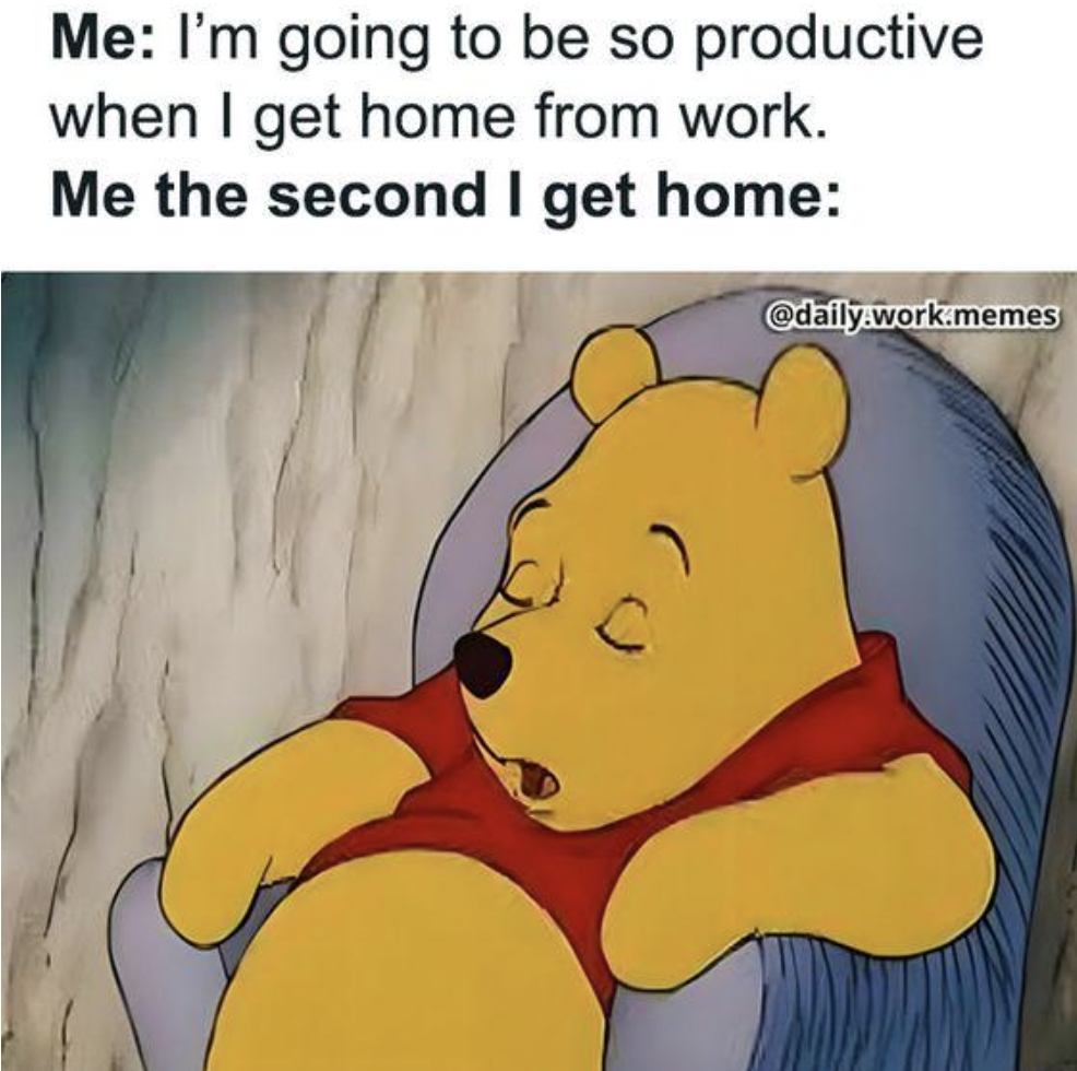 monday work memes -  you re bored at home meme - Me I'm going to be so productive when I get home from work. Me the second I get home .work.memes