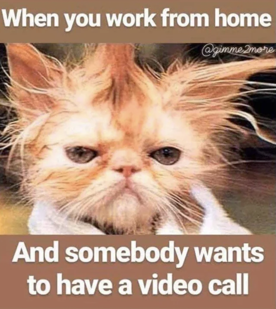 monday work memes -  you work from home and somebody wants - When you work from home And somebody wants to have a video call