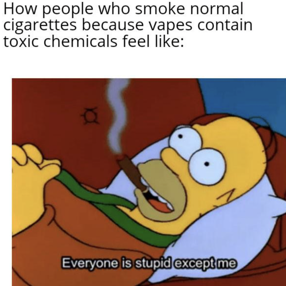 Meme - How people who smoke normal cigarettes because vapes contain toxic chemicals feel a Everyone is stupid except me