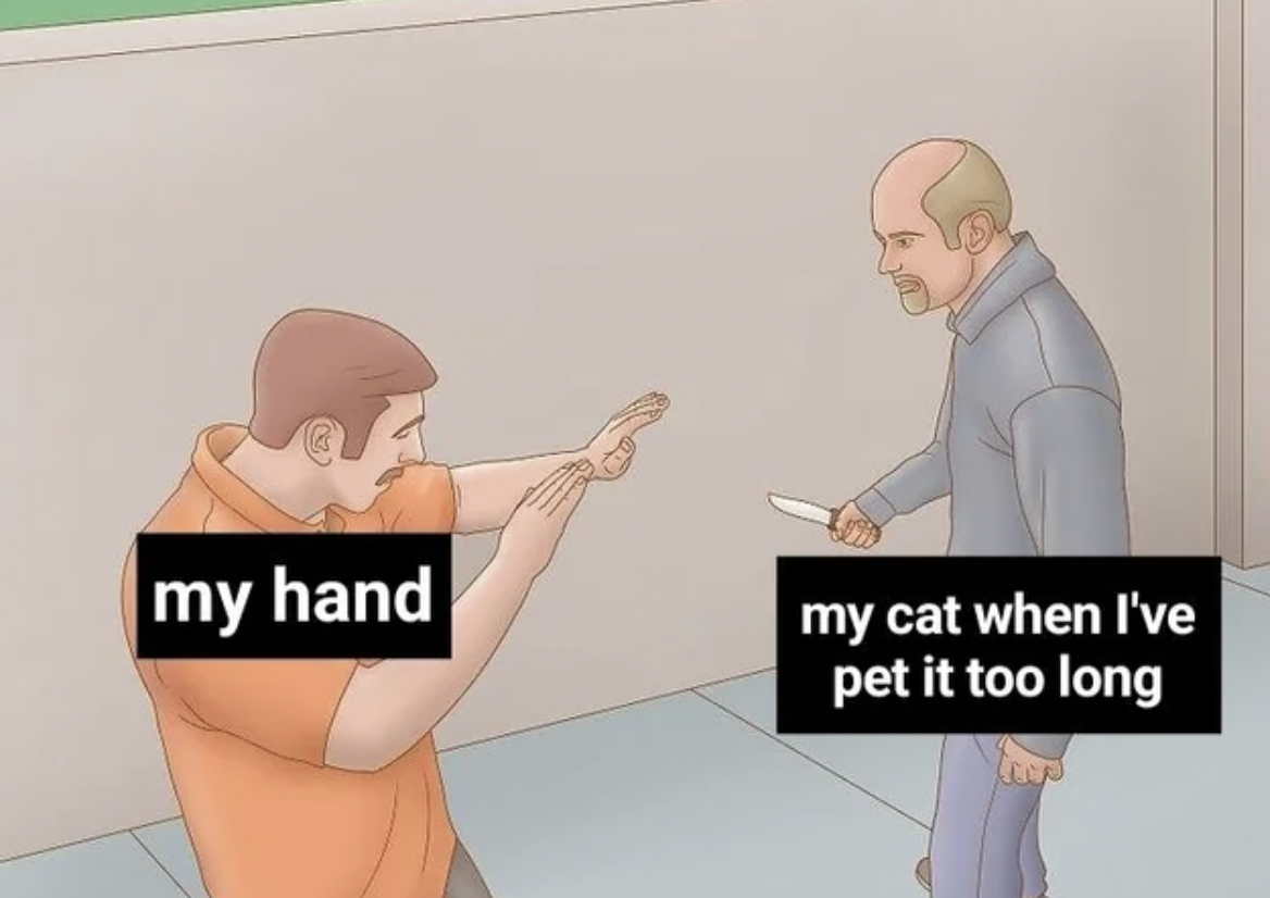 cartoon - my hand my cat when I've pet it too long