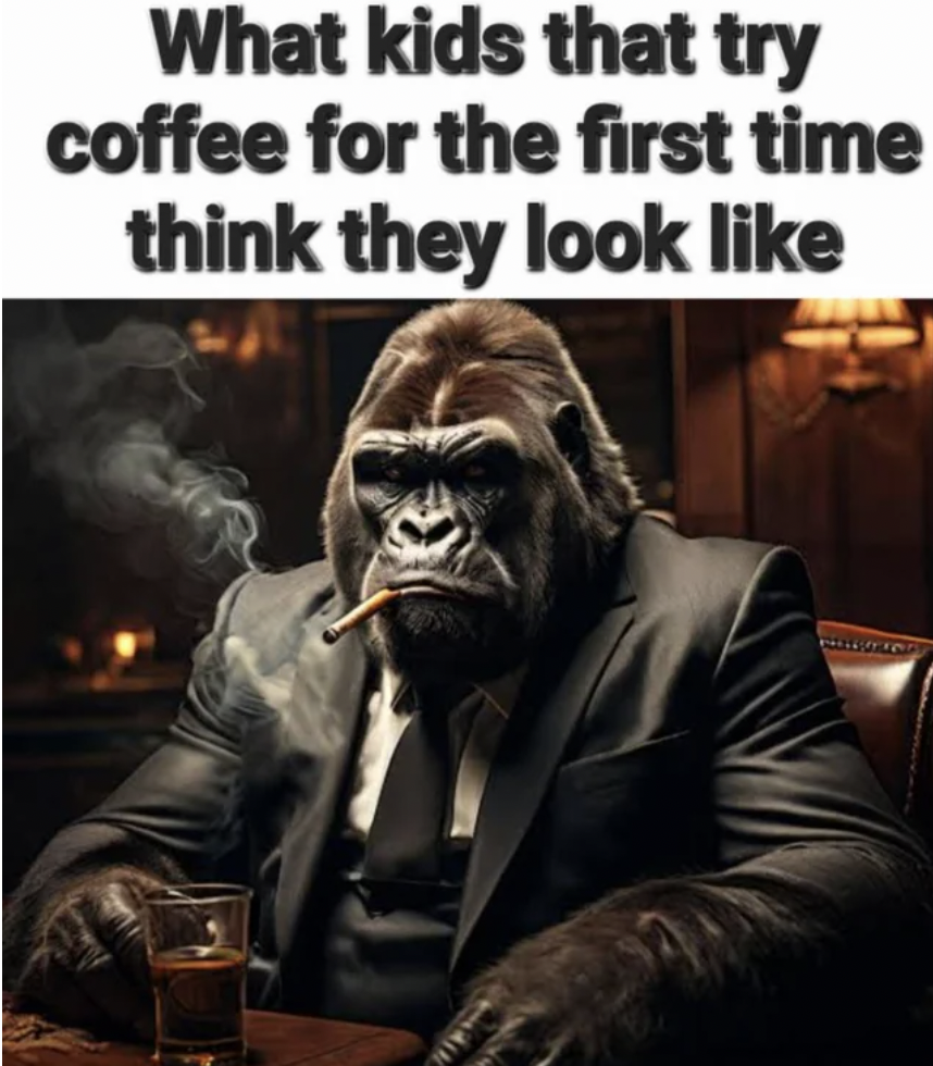 monkey - What kids that try coffee for the first time think they look