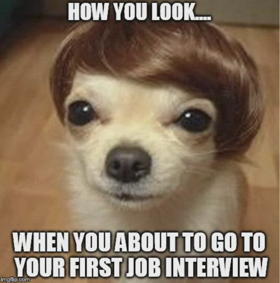 funniest job interview meme - How You Look..... When You About To Go To Your First Job Interview imgflip.com