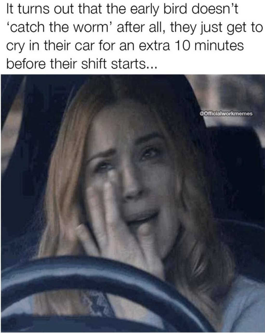 photo caption - It turns out that the early bird doesn't 'catch the worm' after all, they just get to cry in their car for an extra 10 minutes before their shift starts... Officialworkmemes