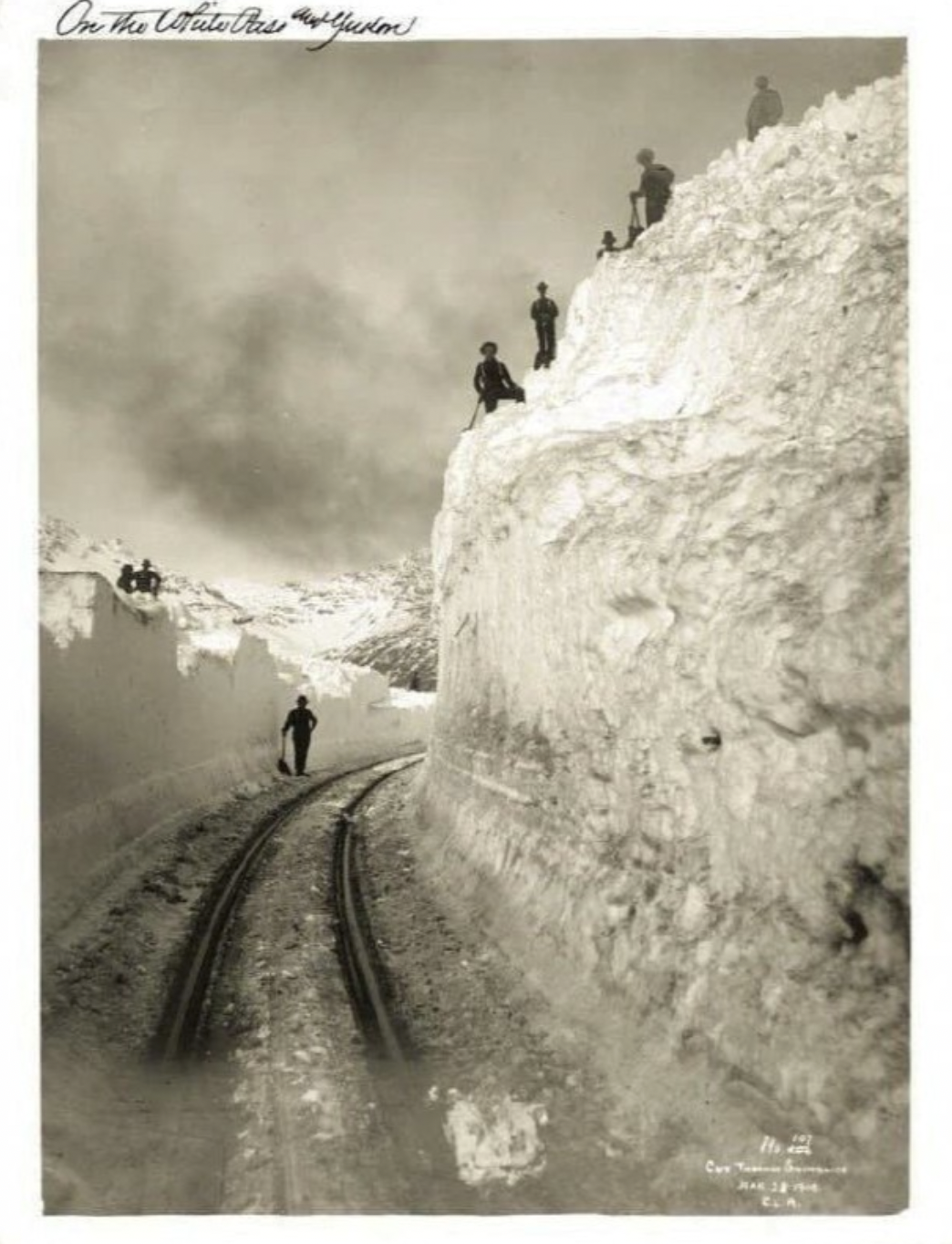 snow - On the White Dress Yukon