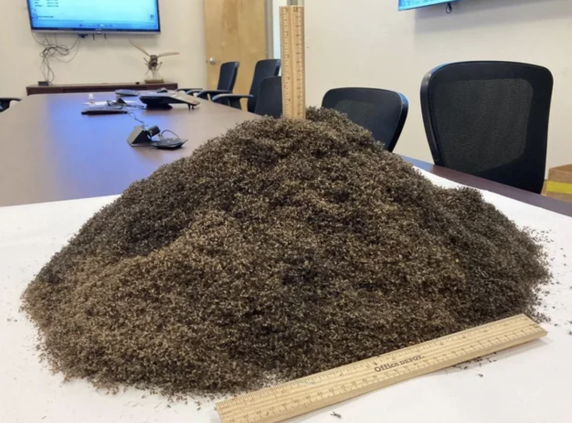 pile of 1 million mosquitoes - Office