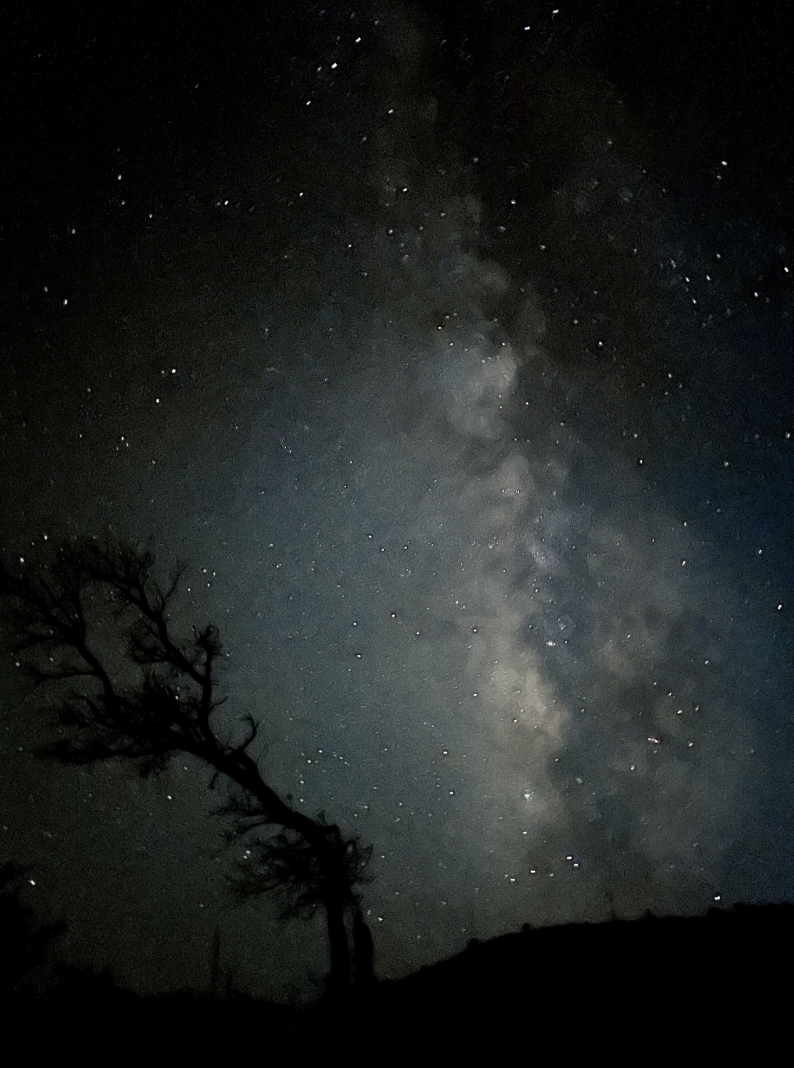 “Night Sky while camping at Guadalupe Mountains National Park, Texas.”