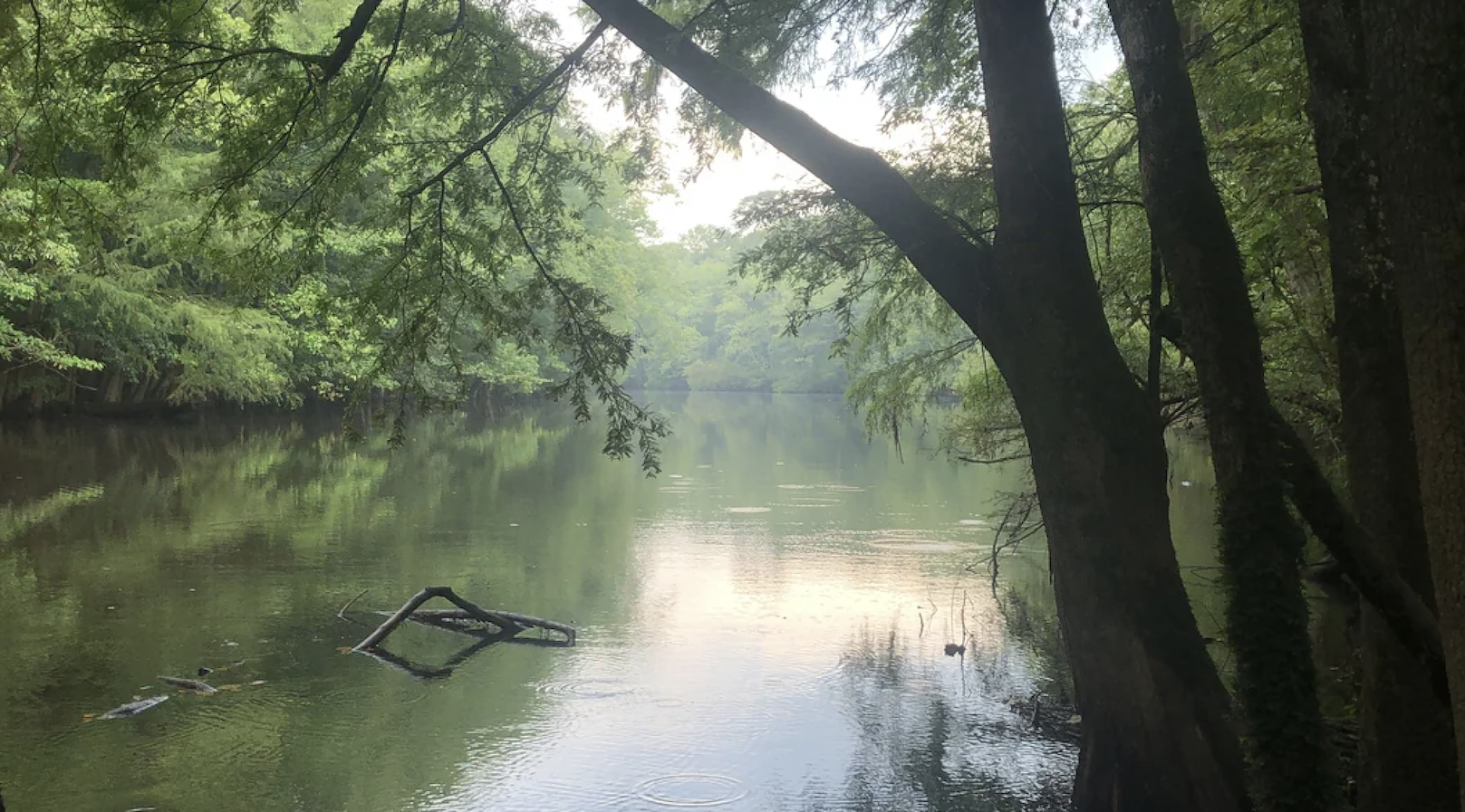 Some people consider it the “worst” national park, but still looks beautiful.