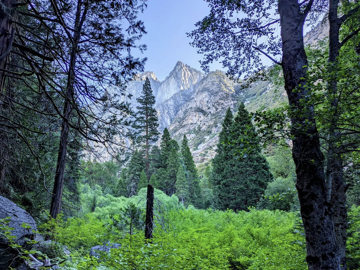 Kings Canyon National Park, California.