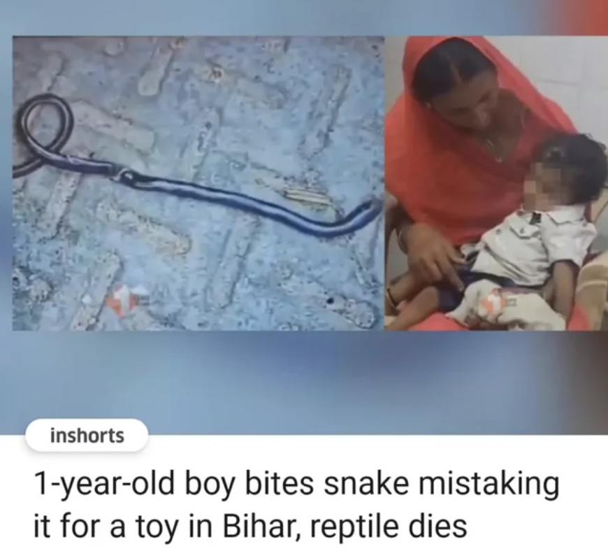 Snake - inshorts 1yearold boy bites snake mistaking it for a toy in Bihar, reptile dies