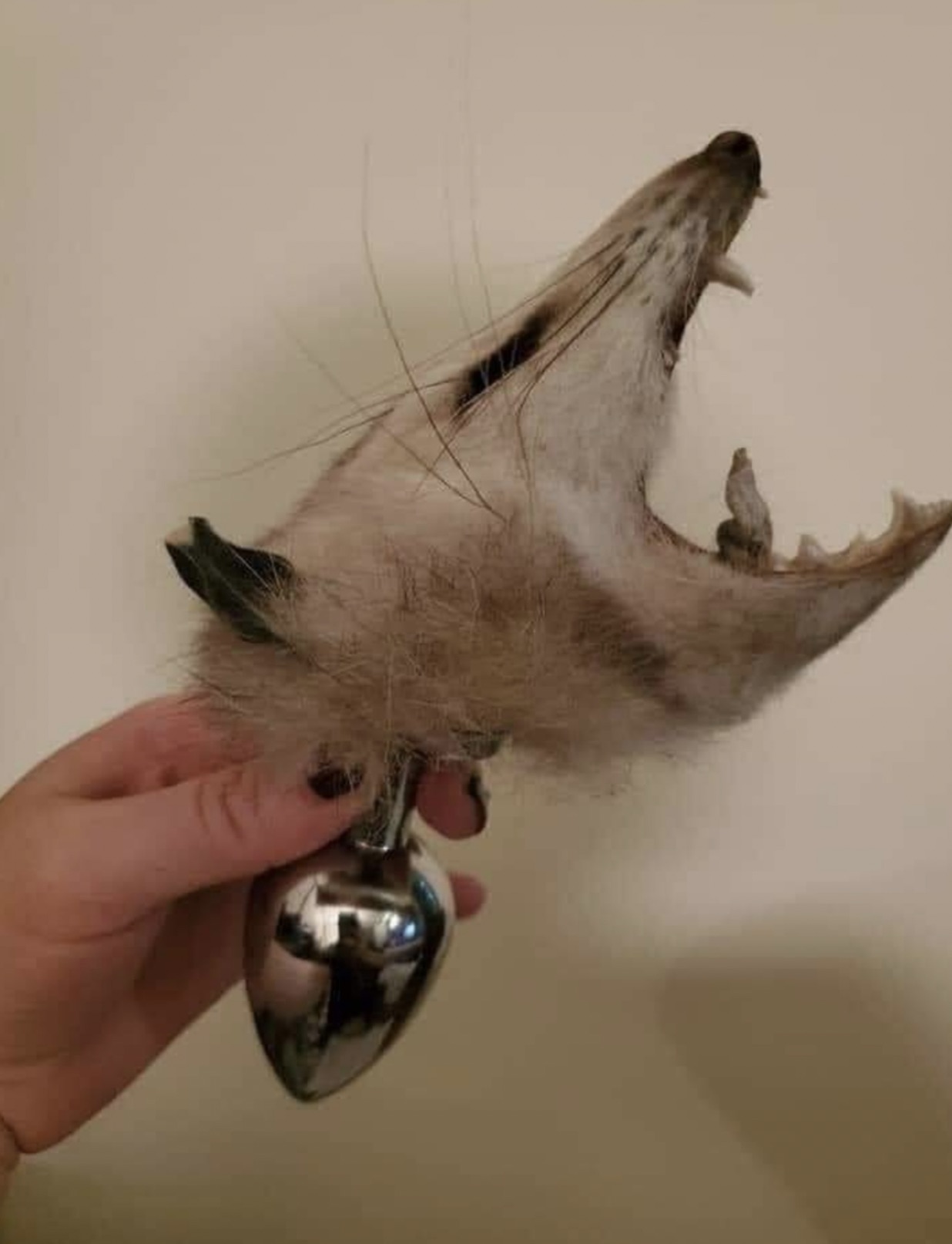 possum buttplug