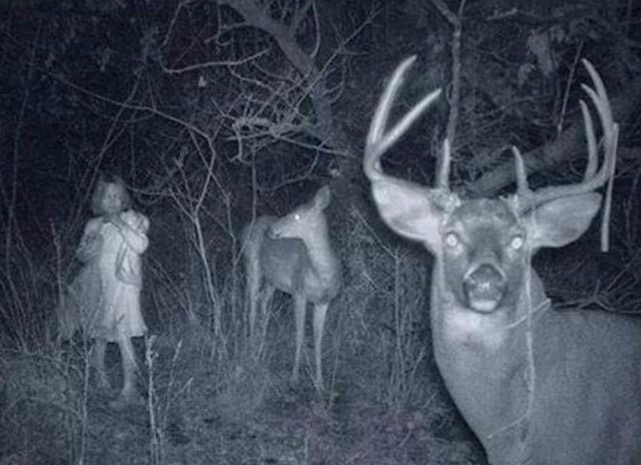 creepy trail camera