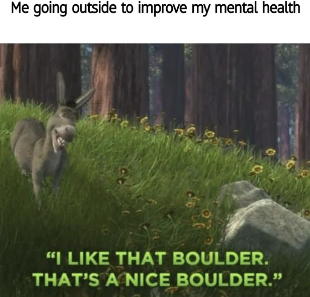 donkey that is a nice boulder - Me going outside to improve my mental health "I That Boulder. That'S A Nice Boulder."