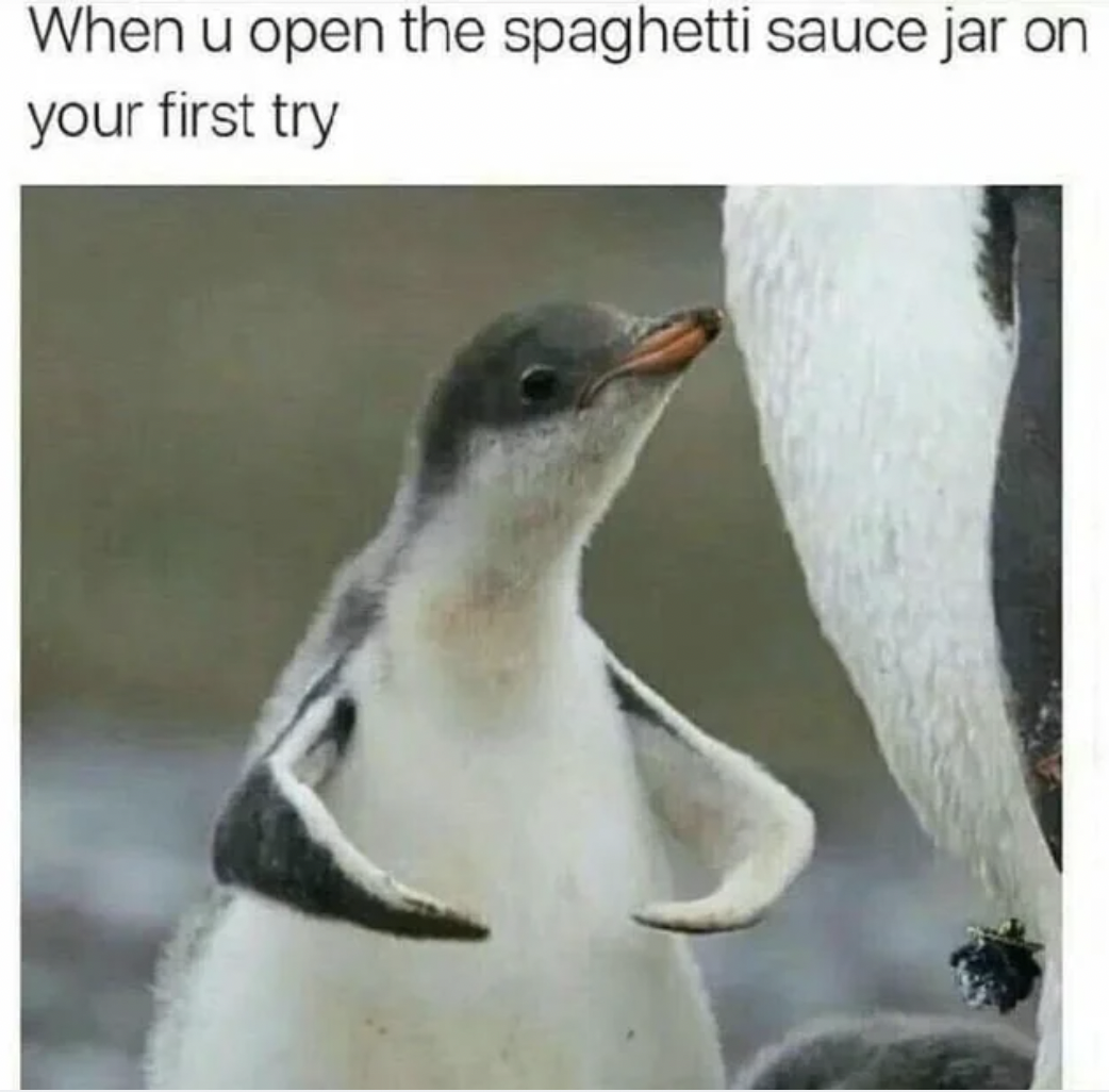 penguin meme - When u open the spaghetti sauce jar on your first try