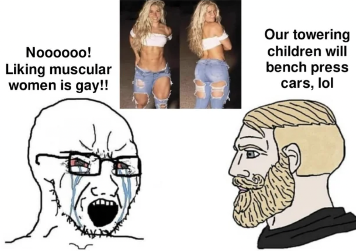 nooo you cant just meme - Noooooo! Liking muscular women is gay!! Our towering children will bench press cars, lol