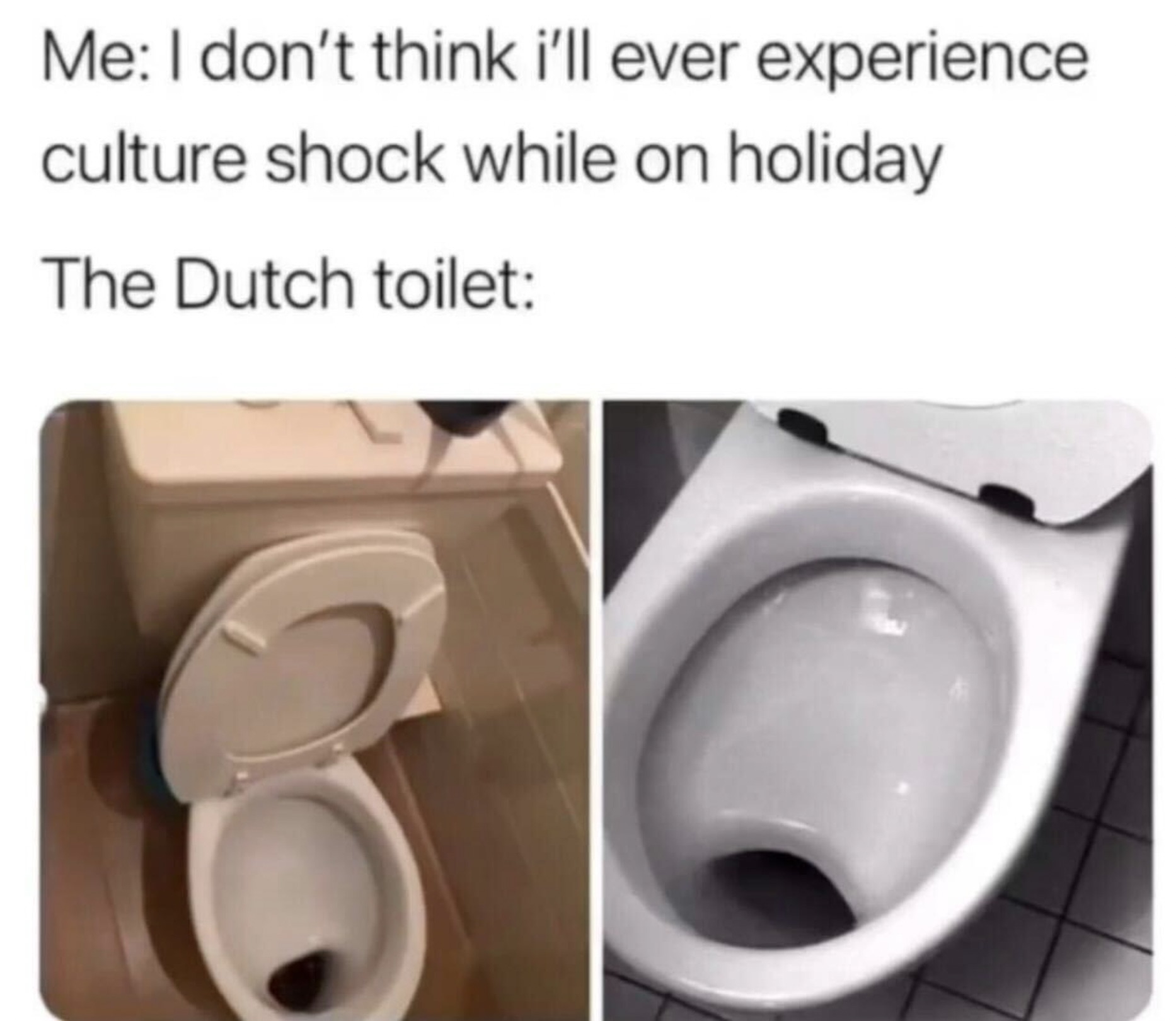 dutch toilets meme - Me I don't think i'll ever experience culture shock while on holiday The Dutch toilet