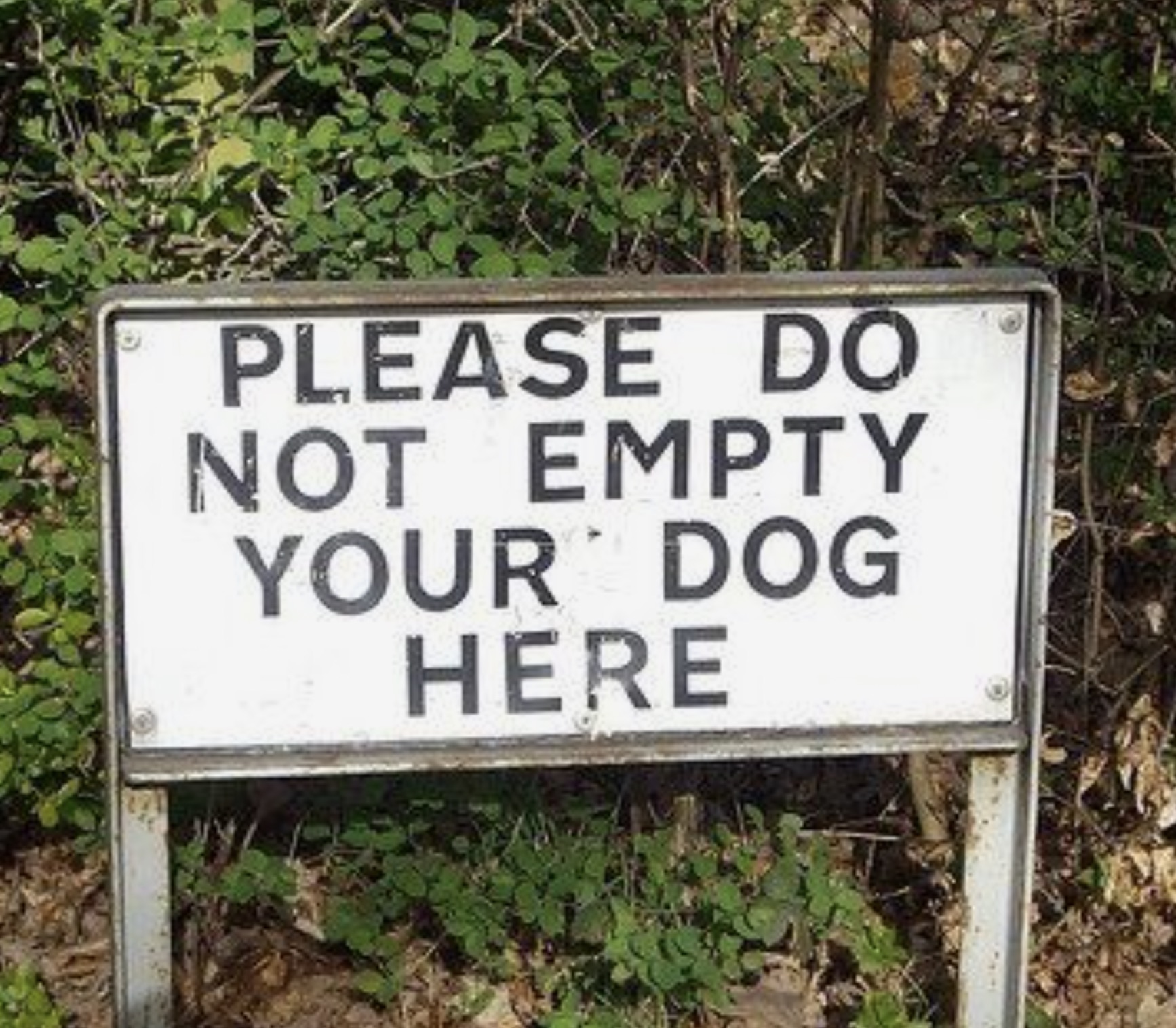 wrong translation meme - Please Do Not Empty Your Dog Here