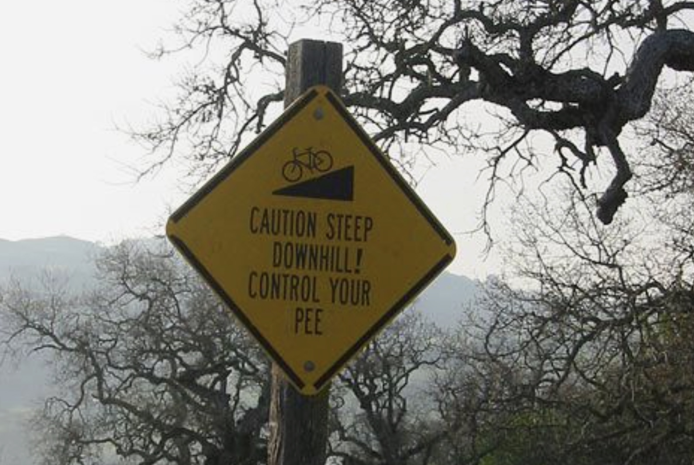 Traffic sign - Caution Steep Downhill! Control Your Pee