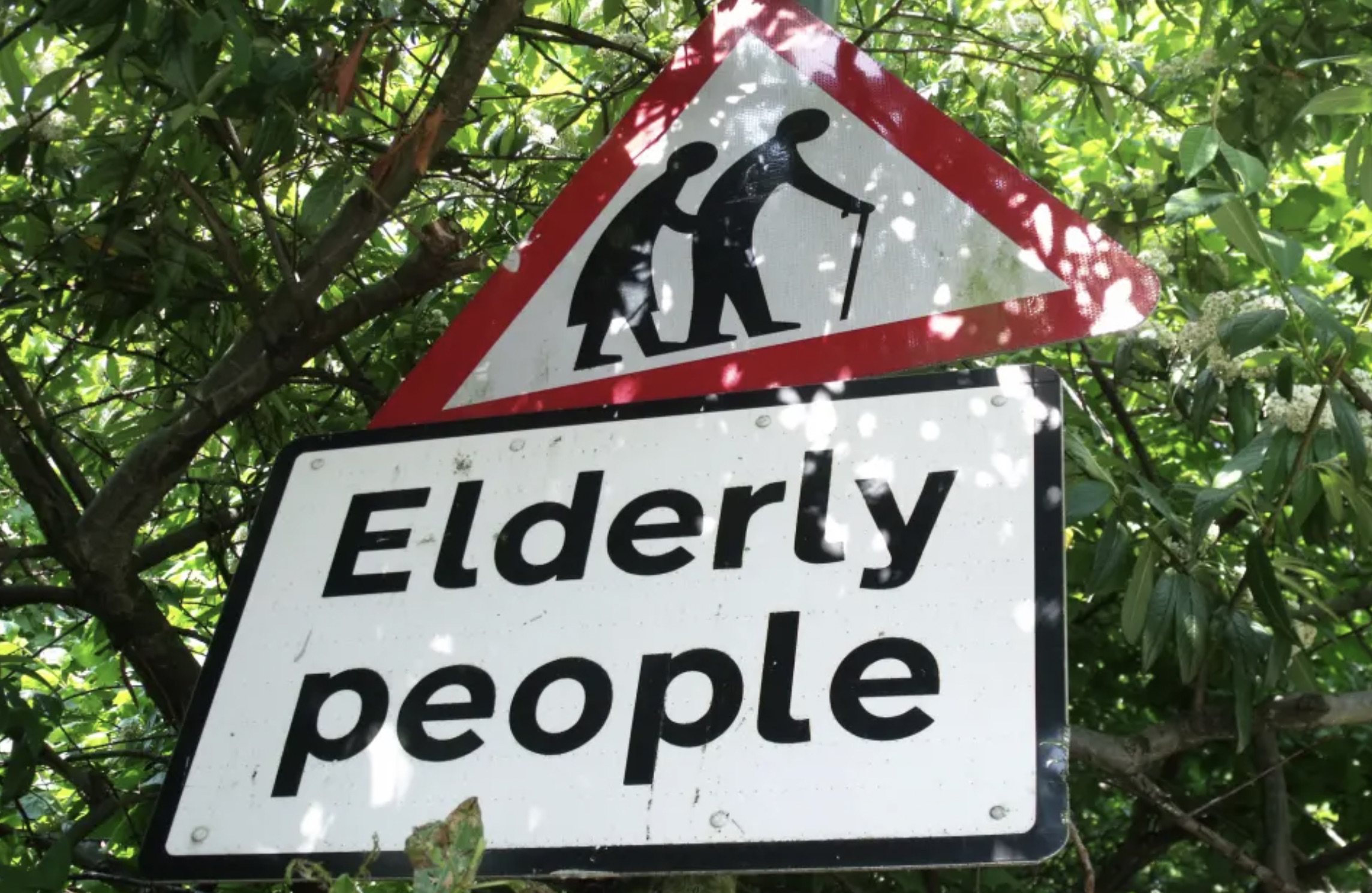 Elderly person - Elderly people