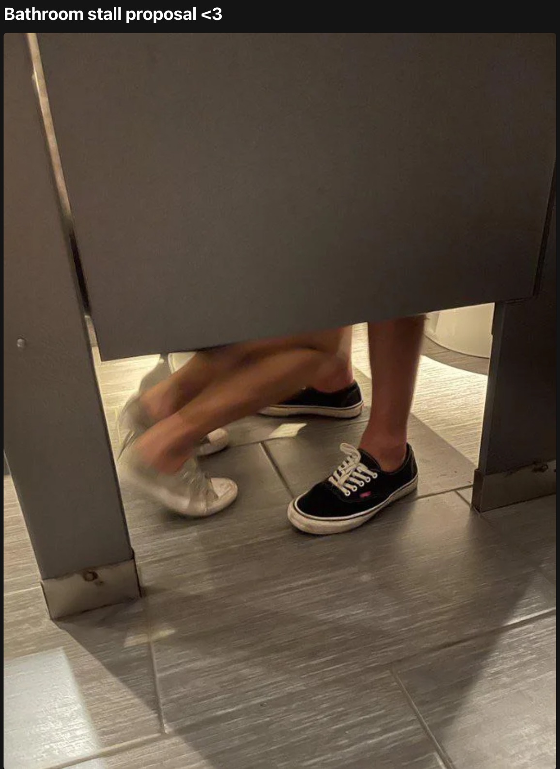 bathroom proposal - Bathroom stall proposal