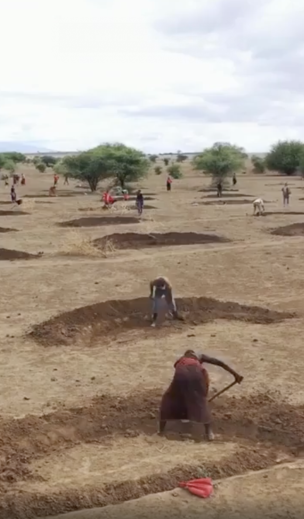 By digging pits like these, people in Arusha, Tanzania, have managed to transform a desert area into a grassland.