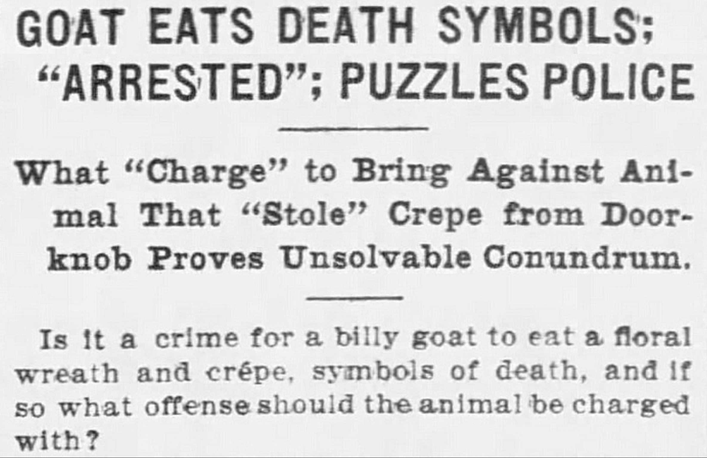 document - Goat Eats Death Symbols; "Arrested"; Puzzles Police What Charge to Bring Against Ani mal That "Stole" Crepe from Door knob Proves Unsolvable Conundrum. Is it a crime for a billy goat to eat a floral wreath and crpe, symbols of death, and if so 