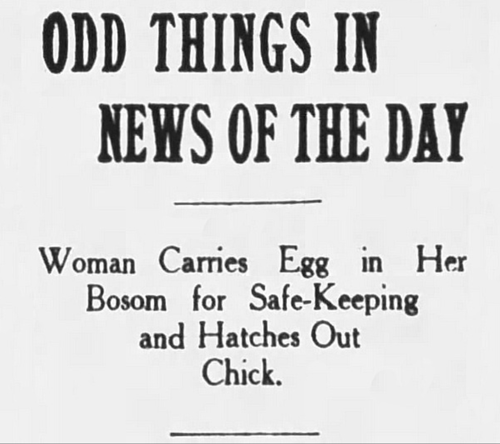 poster - Odd Things In News Of The Day Woman Carries Egg in Her Bosom for SafeKeeping and Hatches Out Chick.