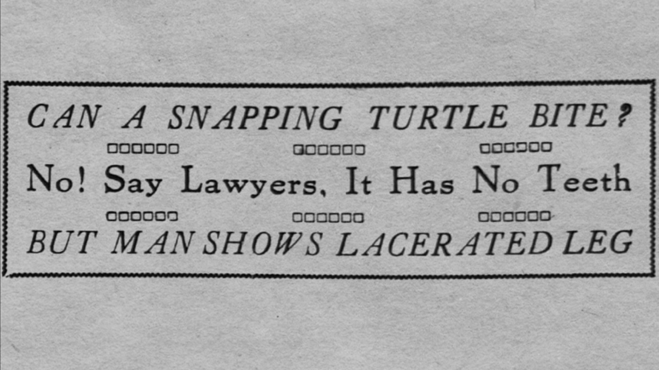 label - Can A Snapping Turtle Bite? 000000 G00000 000000 No! Say Lawyers, It Has No Teeth 000000 000000 000000 But Man Shows Lacerated Leg