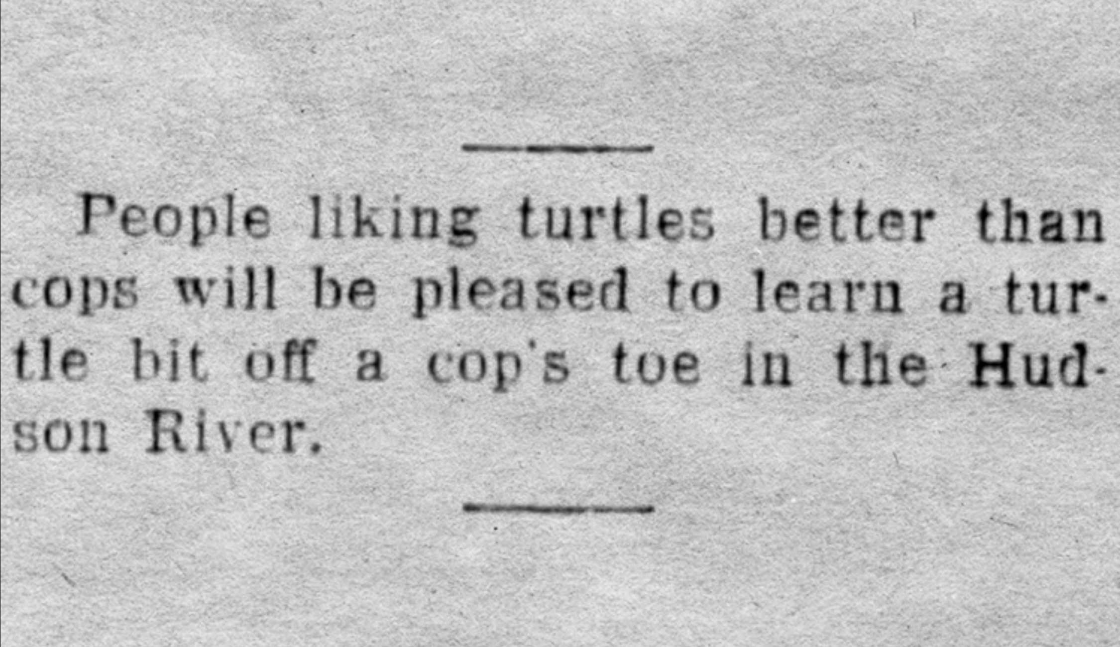 document - People liking turtles better than cops will be pleased to learn a tur tle bit off a cop's toe in the Hud son River.