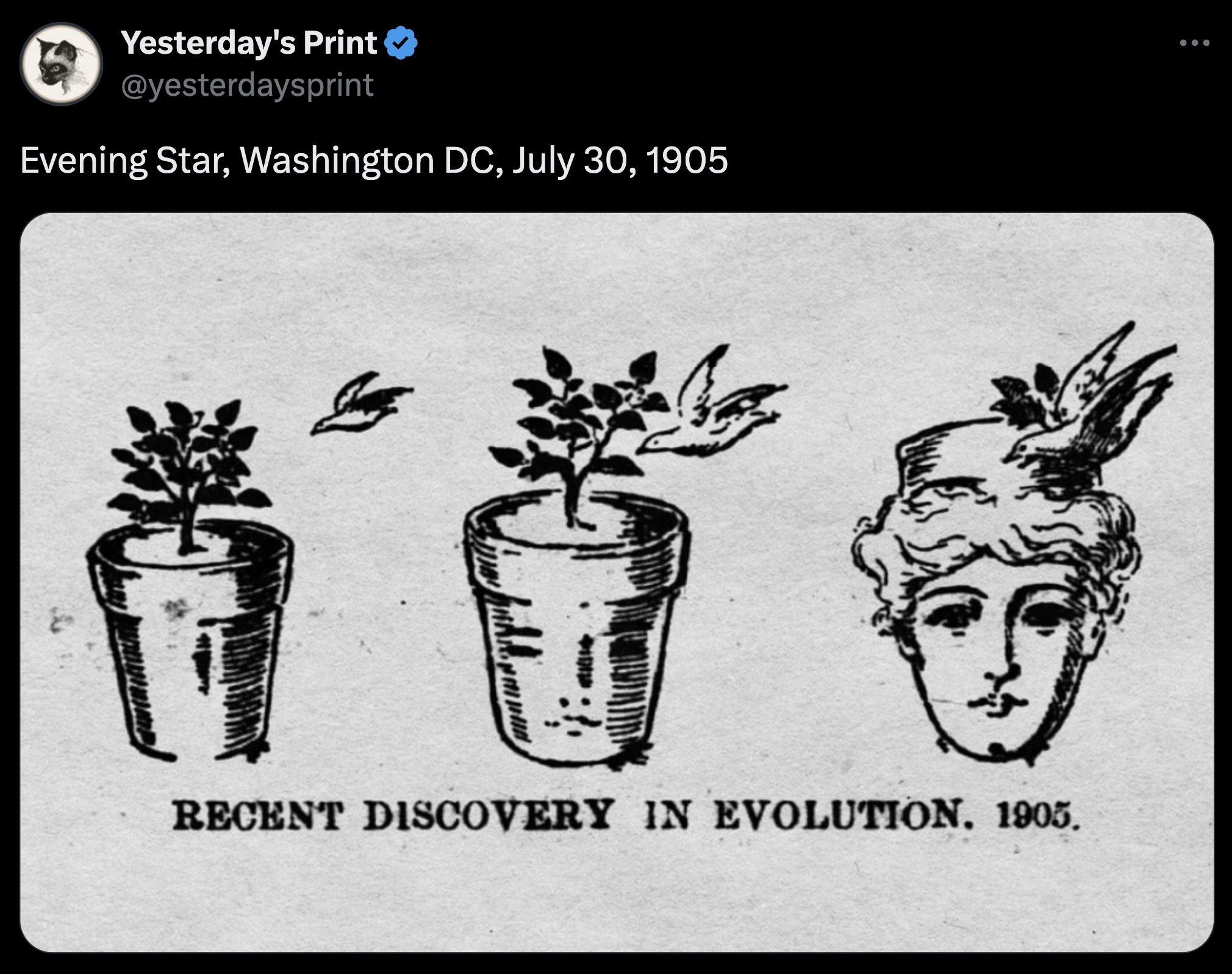 illustration - Yesterday's Print Evening Star, Washington Dc, Recent Discovery In Evolution. 1905.