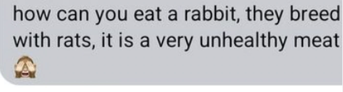 calligraphy - how can you eat a rabbit, they breed with rats, it is a very unhealthy meat